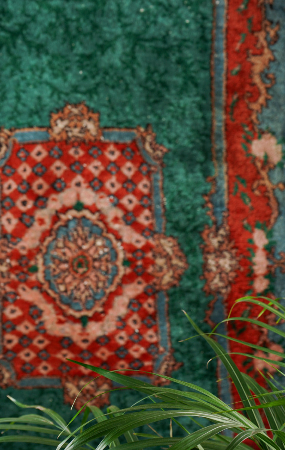 Carpet