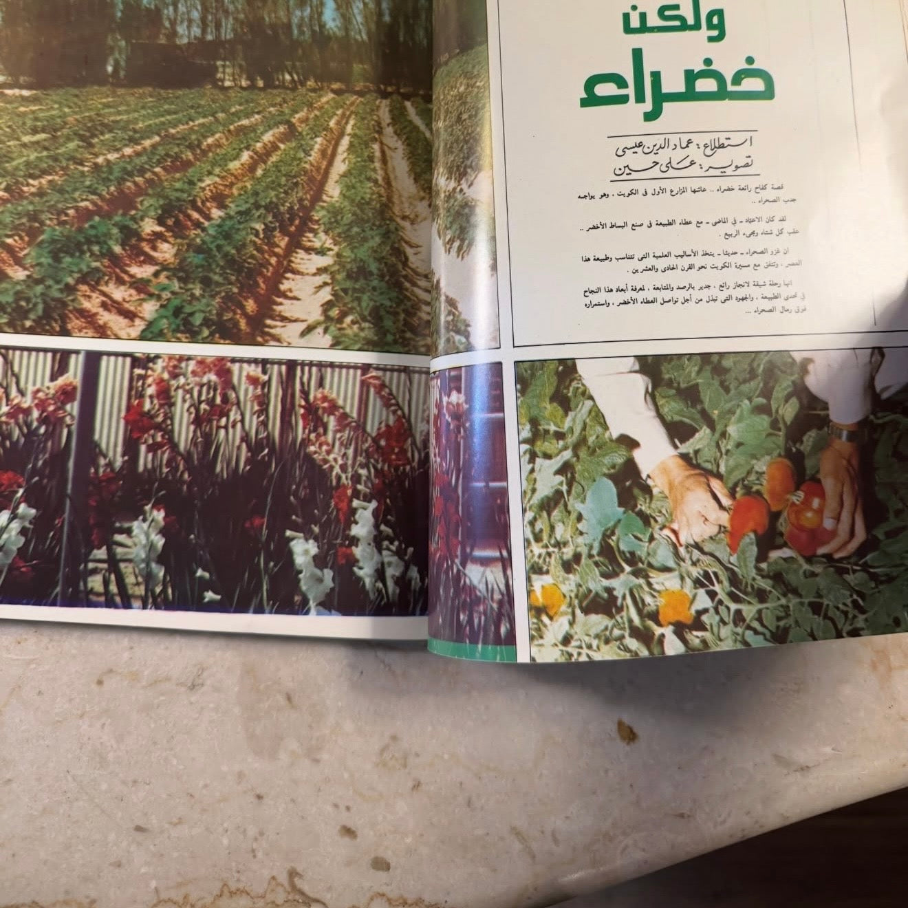 مجلة الكويت ١٩٨١