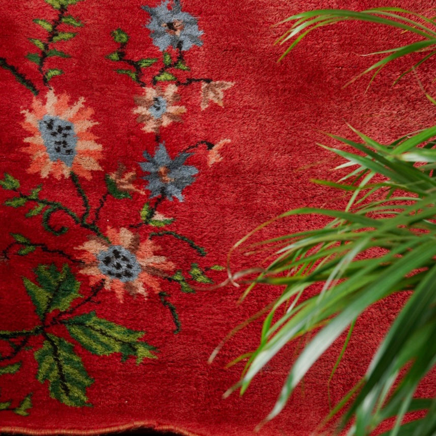 Wall carpet